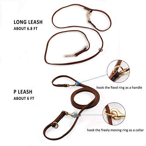 Guiding Star Multi Function 8ft Leather Hands Free Dog Leash for Small, Medium and Large Dogs