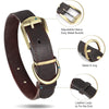 Didog Personalized Genuine Leather Dog Collars with Engraved Nameplate for Medium Large Dogs, M-Brown