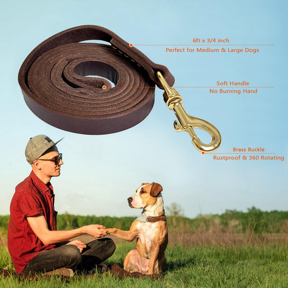 Guiding Star Leather Heavy Duty Dog Leash for Large & Medium Dogs, 6ftx3/4inch, Brown