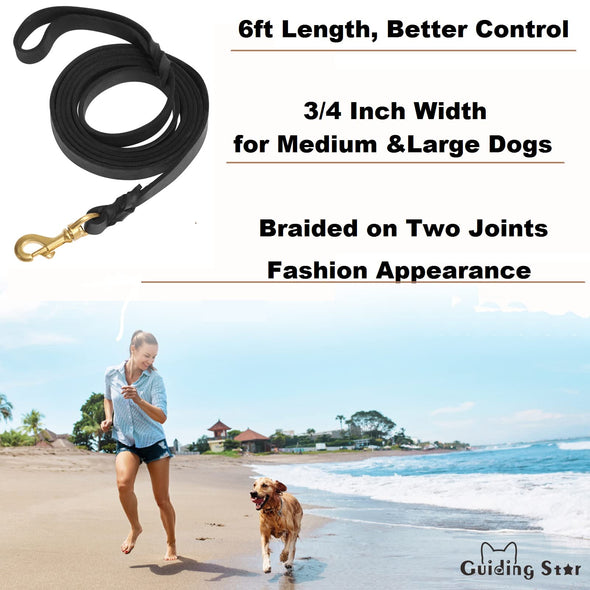 Guiding Star Leather Heavy Duty Dog Leash for Large & Medium Dogs, 6ftx3/4inch, Black