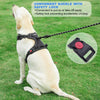 tobeDRI Adjustable No Pull Dog Harness with Reflective & Heavy Duty 5ft Dog Leash - M, Black)