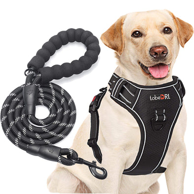 tobeDRI Adjustable No Pull Dog Harness with Reflective & Heavy Duty 5ft Dog Leash - M, Black)