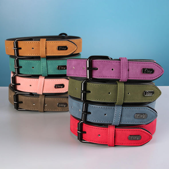 Didog Soft Padded Leather Heavy Duty Dog Collar with Adjustable Rust-Proof Metal Buckle for All breeds