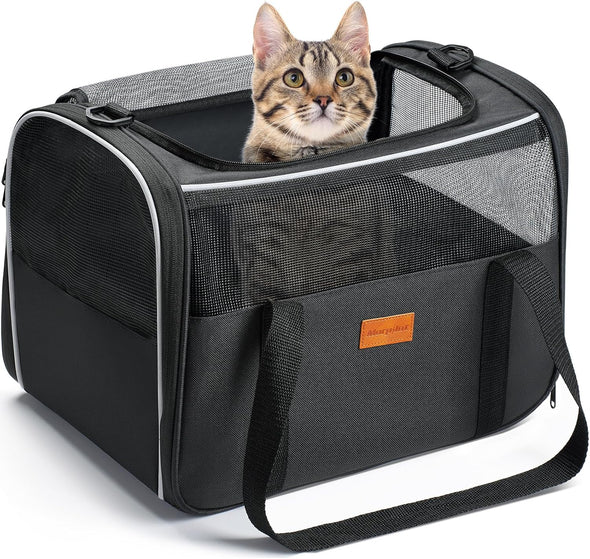 Cat Carrier Soft - Portable Pet Carrier for Small or Medium Cats, Dogs and Puppy up to 14Lbs, Airline Approved Dog Carrier with Safety Buckle - 16.0 X 10.4 X 11.2 Inch (Dark Gray)